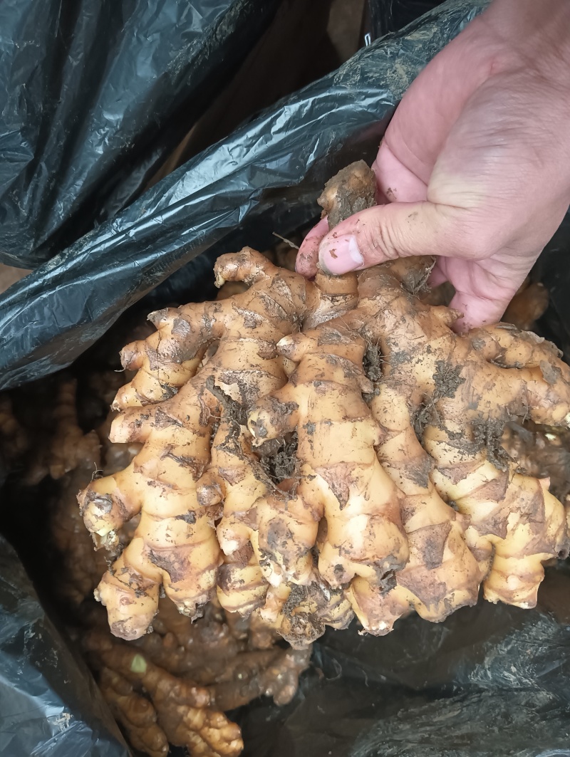 贵州冷库货大量供应