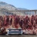 牛肉5000