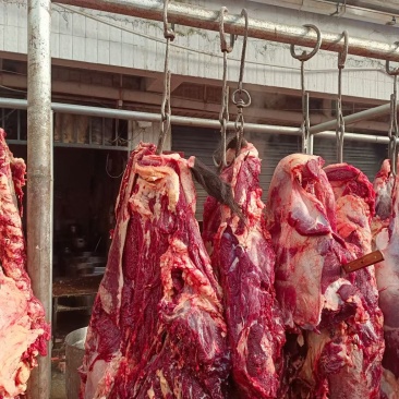 牛肉5000