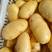 荷兰十五土豆河南开封土豆承接商超电商供货代收代发全国市场