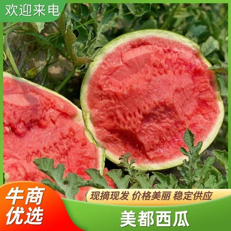[美都西瓜批发]河南商丘夏邑县西瓜 0.50元/斤精品美都西瓜货 _ 一亩田