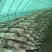 辽宁香菇品质保证诚信经营欢迎联系接商超市场电商