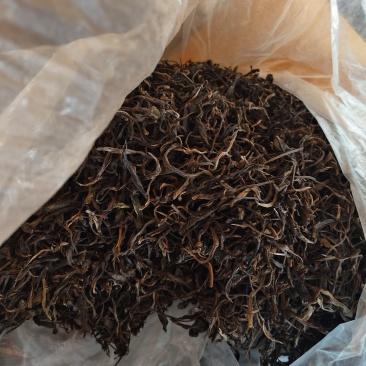 腾冲大树茶