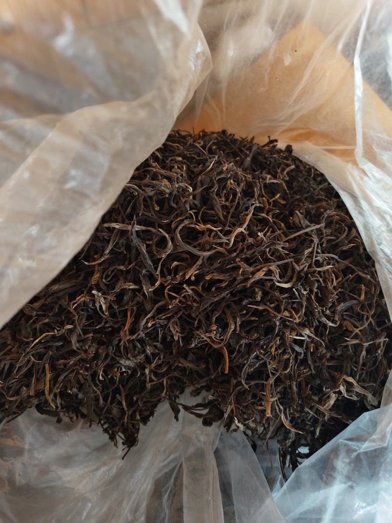 腾冲大树茶
