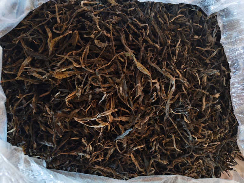 腾冲大树茶