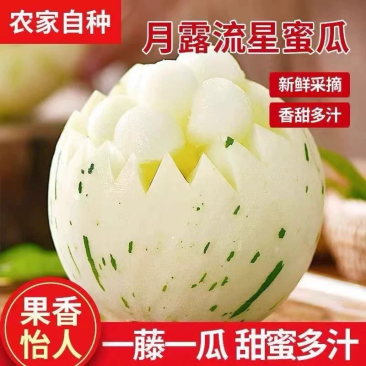 【实力推荐】精品流行蜜露甜瓜，蜜瓜，大量上市中，全国对接