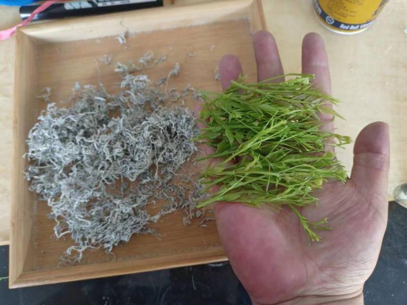 张家界沁韵莓茶