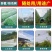 防雹网植物防雹网，果园防雹网保用5~8年。