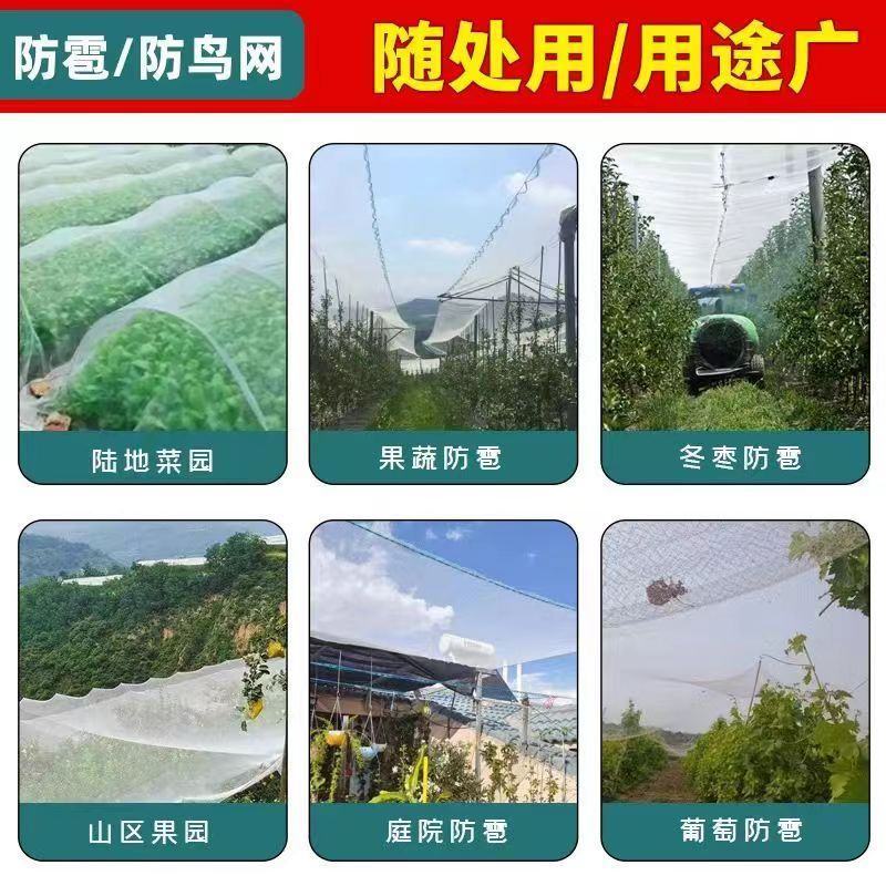 防雹网植物防雹网，果园防雹网保用5~8年。