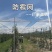 防雹网植物防雹网，果园防雹网保用5~8年。