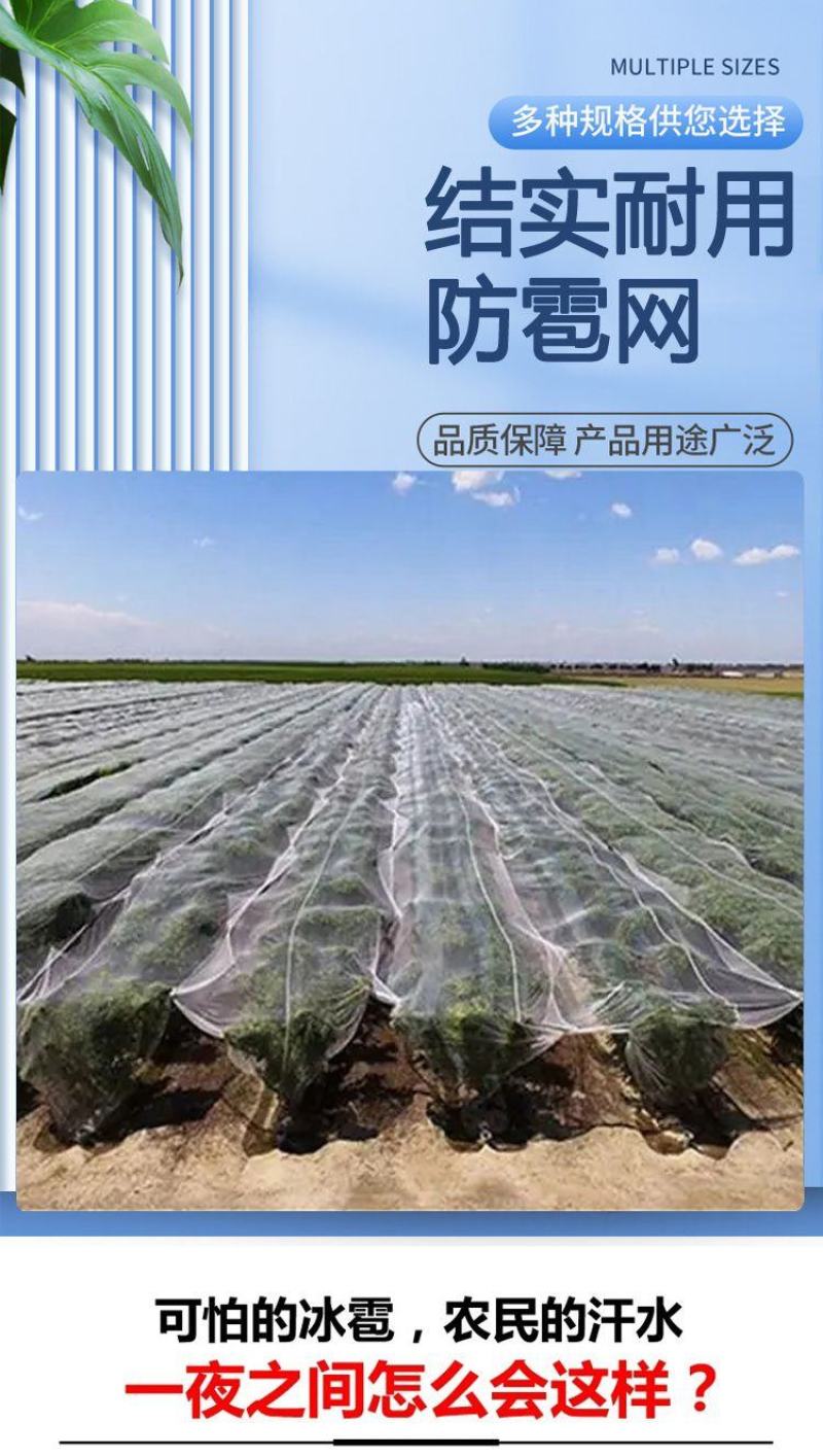 防雹网植物防雹网，果园防雹网保用5~8年。