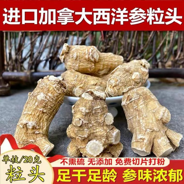 西洋参加拿大进口西洋参粒头大量批发