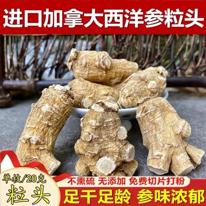 西洋参加拿大进口西洋参粒头大量批发