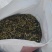 四川遂宁油菜籽