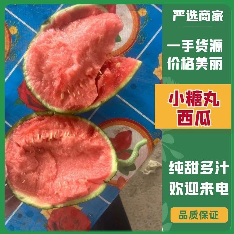 安徽砀山全美2k西瓜小糖丸皮薄红瓤无籽产地直发质量保证