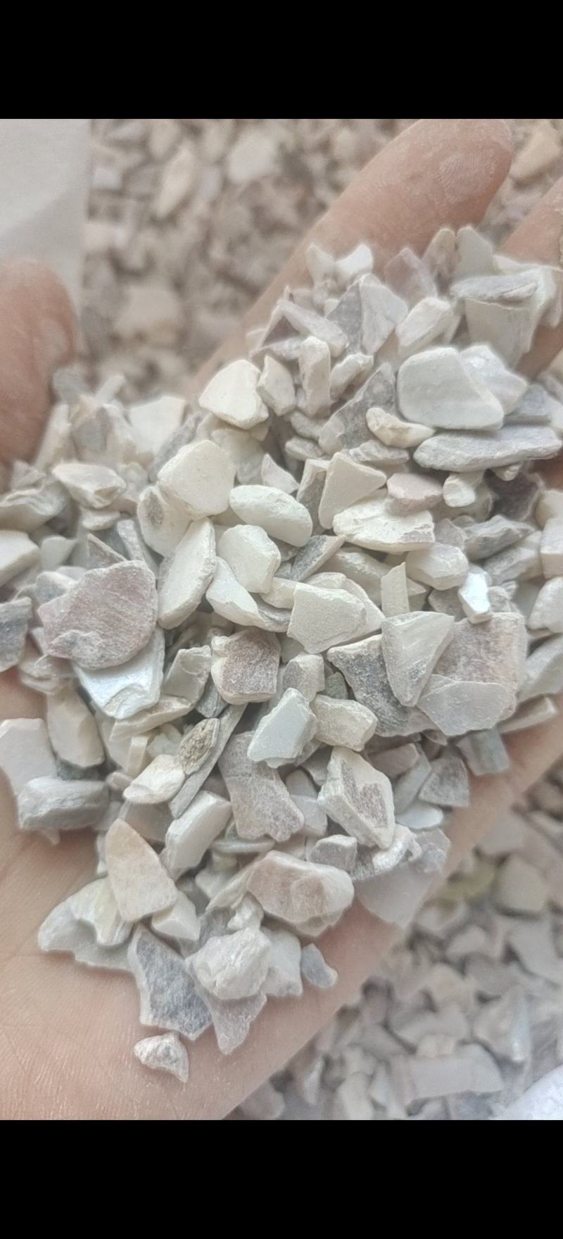 珍珠母珍珠母统片产地浙江省地道药材紫轩堂药业