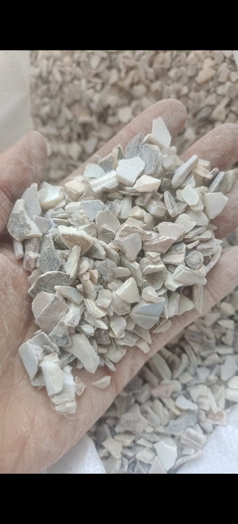 珍珠母珍珠母统片产地浙江省地道药材紫轩堂药业