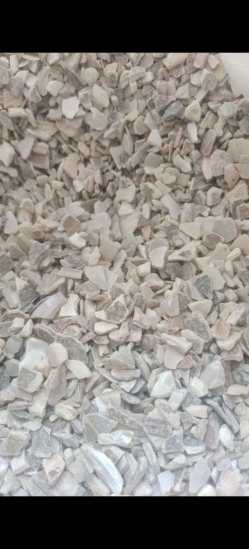 珍珠母珍珠母统片产地浙江省地道药材紫轩堂药业