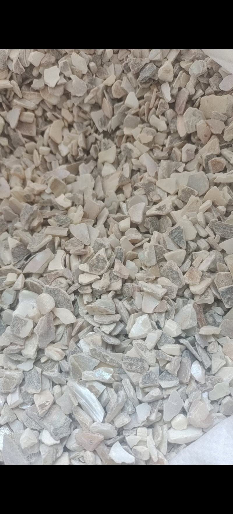 珍珠母珍珠母统片产地浙江省地道药材紫轩堂药业