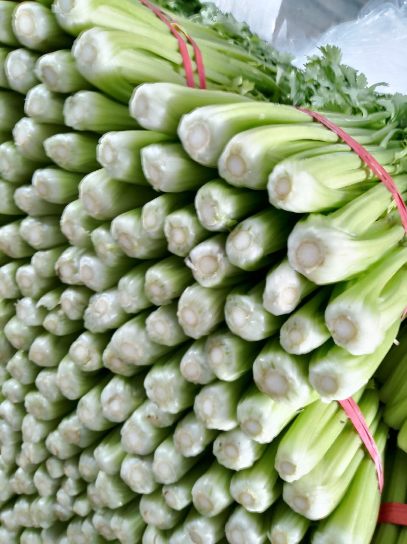 芹菜