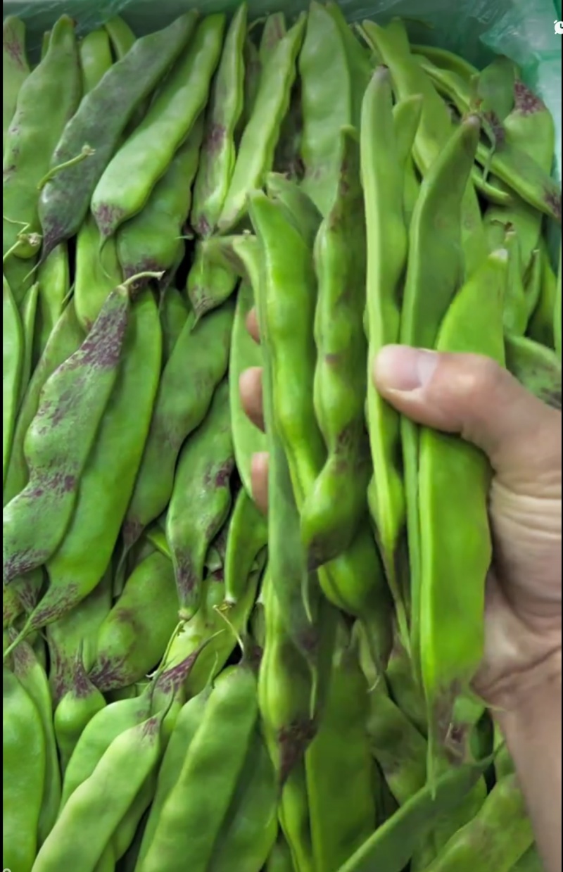 长年代收各种新鲜蔬菜