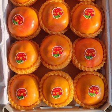 阳丰脆柿子巧克力脆柿子
