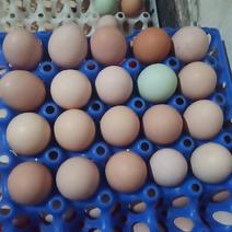 农家生态散养土鸡蛋