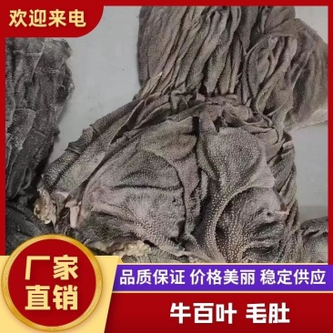 掉毛百叶毛肚大掉毛小掉毛各有价格，欢迎咨询