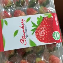 四季草莓树莓