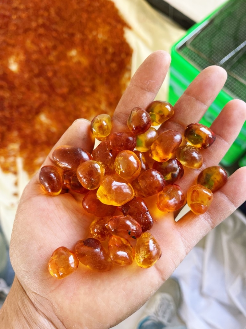 桃胶水洗黄红红黄纯黄桃胶