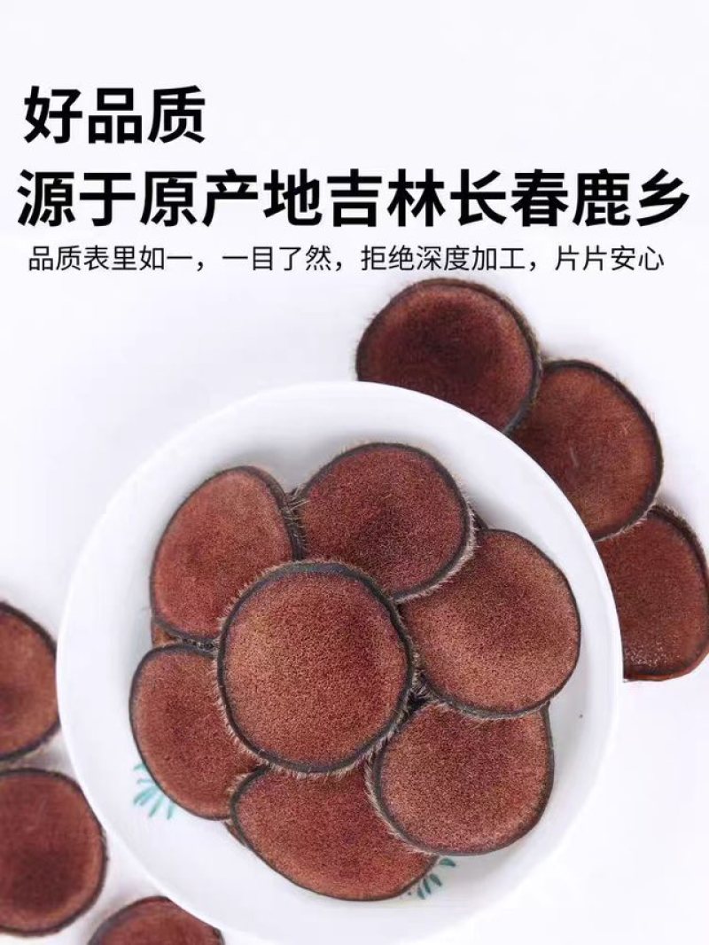 吉林双阳干鹿茸红粉片量大从优欢迎咨询