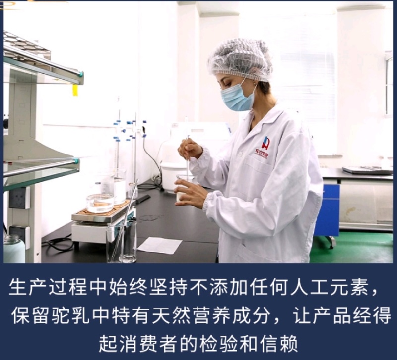 新疆全脂牛奶粉500克/罐，保险质量保证，12罐发货包邮