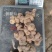 姜型野生黄精常年可供应量大从优质量保证欢迎咨询选购