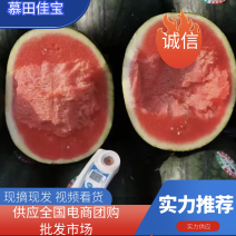 陕西慕田佳宝西瓜，直生苗西瓜大量供应，一手货源保质保量