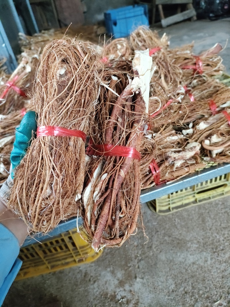 五指毛桃中把五爪龙无硫产品奶香浓郁煲汤佳品
