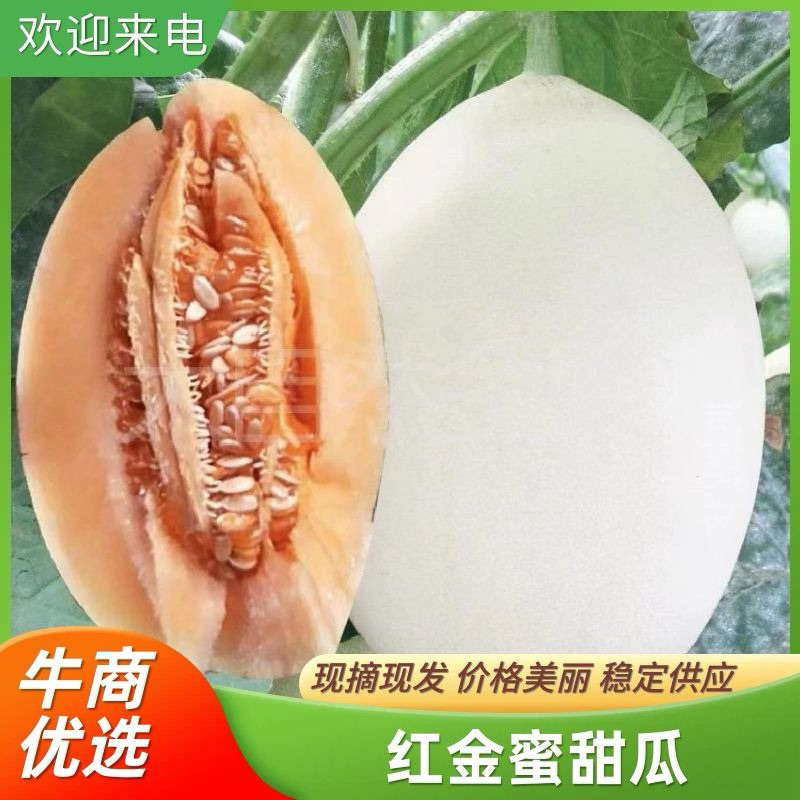 【精品】红金蜜红肉脆梨东方蜜1号代发全国保质保量靠谱