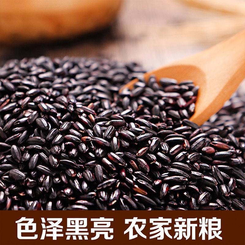 五常黑米紫米黑糯米血糯米产地直发