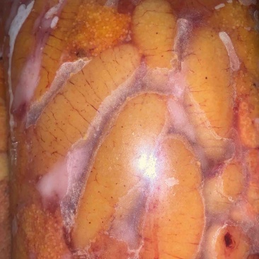 鲈鱼籽