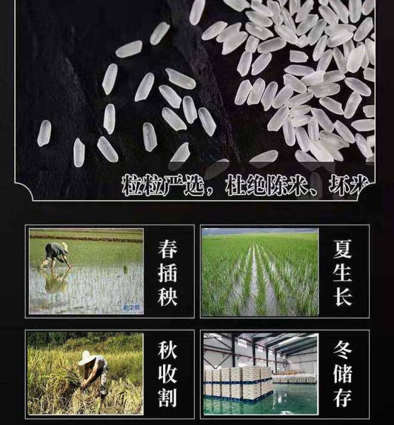 25年新五常有机稻花香2号大米真空包装5公斤