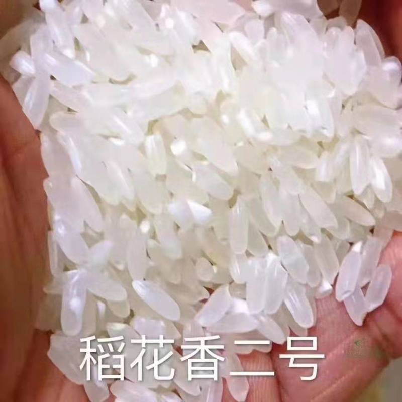 25年新五常有机稻花香2号大米真空包装5公斤
