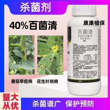 40%百菌清番茄早疫病花生叶斑病蔬菜大田杀菌剂悬浮剂农药