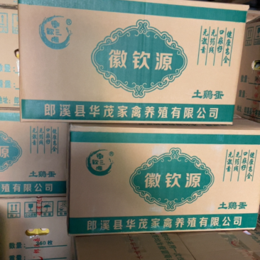 新鲜白凤土鸡蛋360枚装一件欢迎各位老板来采都是现货