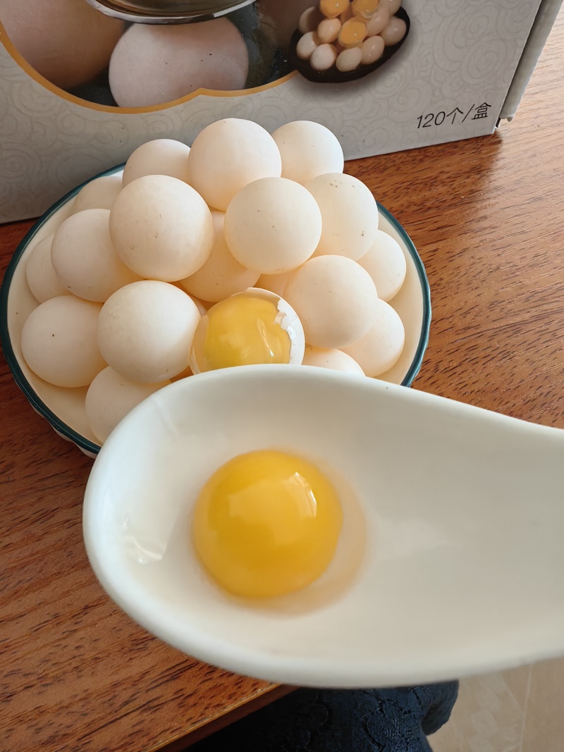 大量现货精品甲鱼蛋，欢迎询价