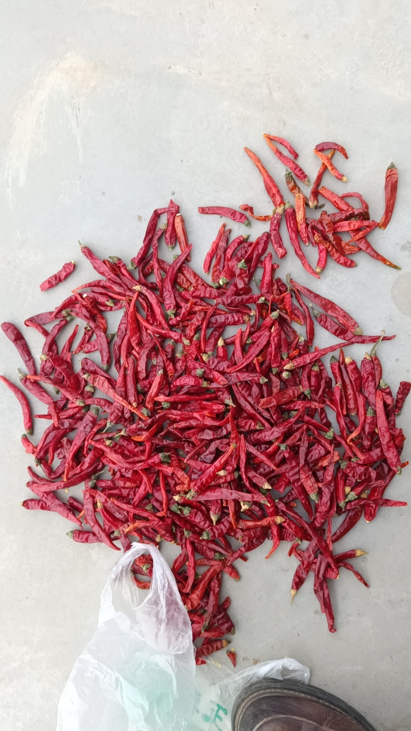 干辣椒干朝天椒