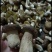 大量野生牛肝菌（大脚菇）品质保证，量大从优，欢迎咨询