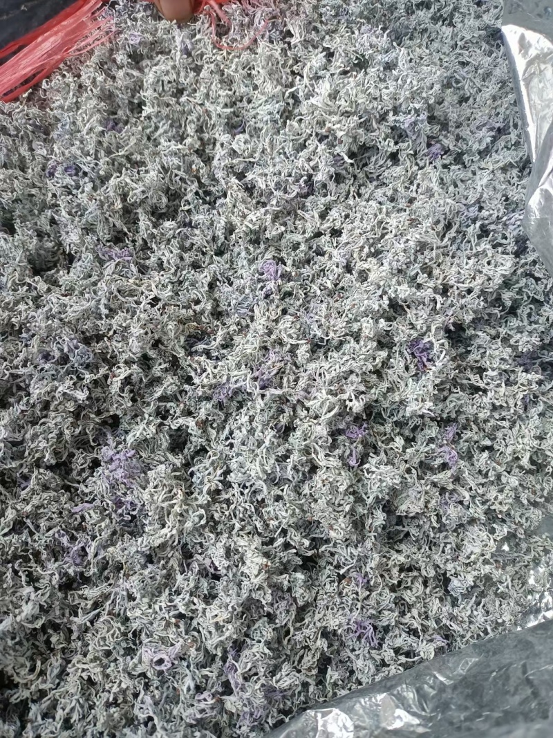 永顺莓茶