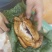 椒麻鸡荷叶鸡适用于地摊展会庙会集市门市餐馆饭店等地