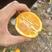 精品夏橙货源充足对接全国皮薄多汁量大从优质量保证