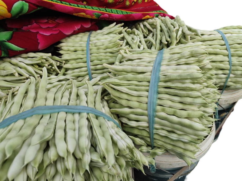 芸豆精品芸豆，要多少有多少