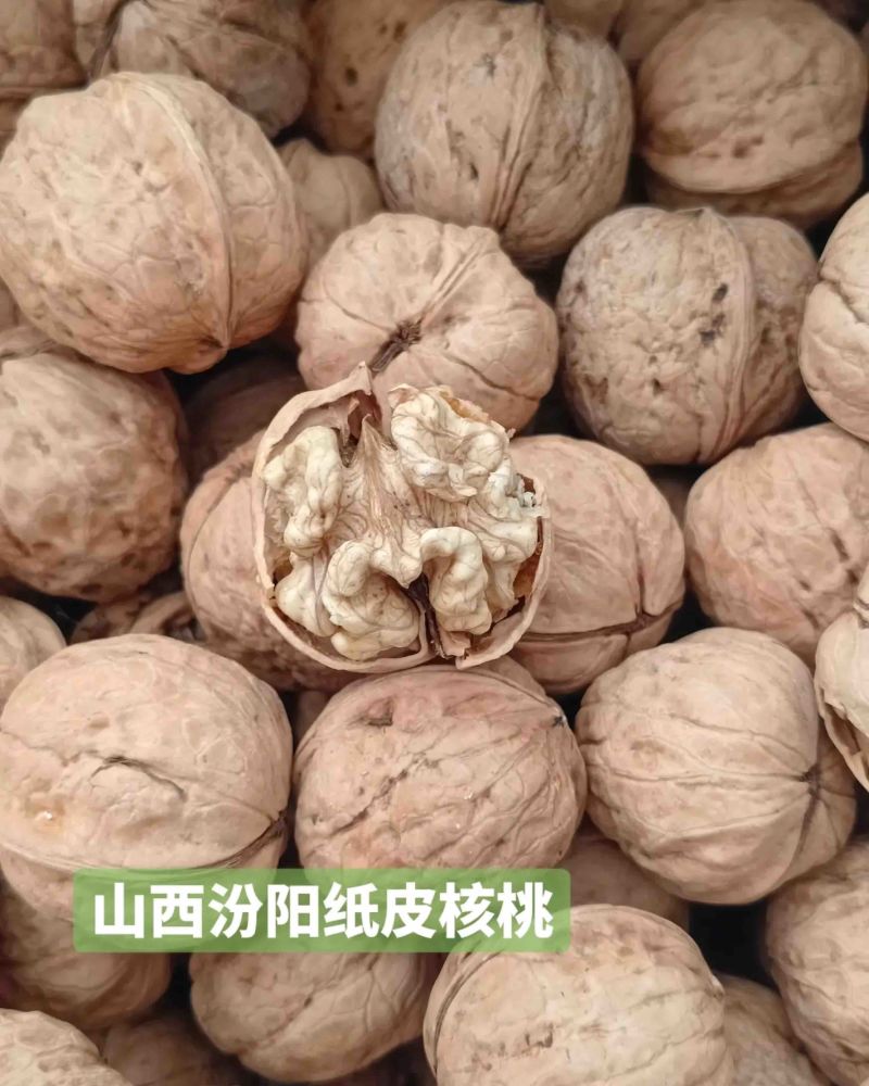 汾阳纸皮核桃